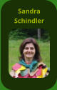 Sandra Schindler